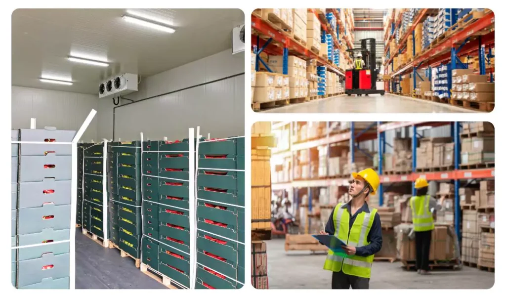 Warehousing Solutions